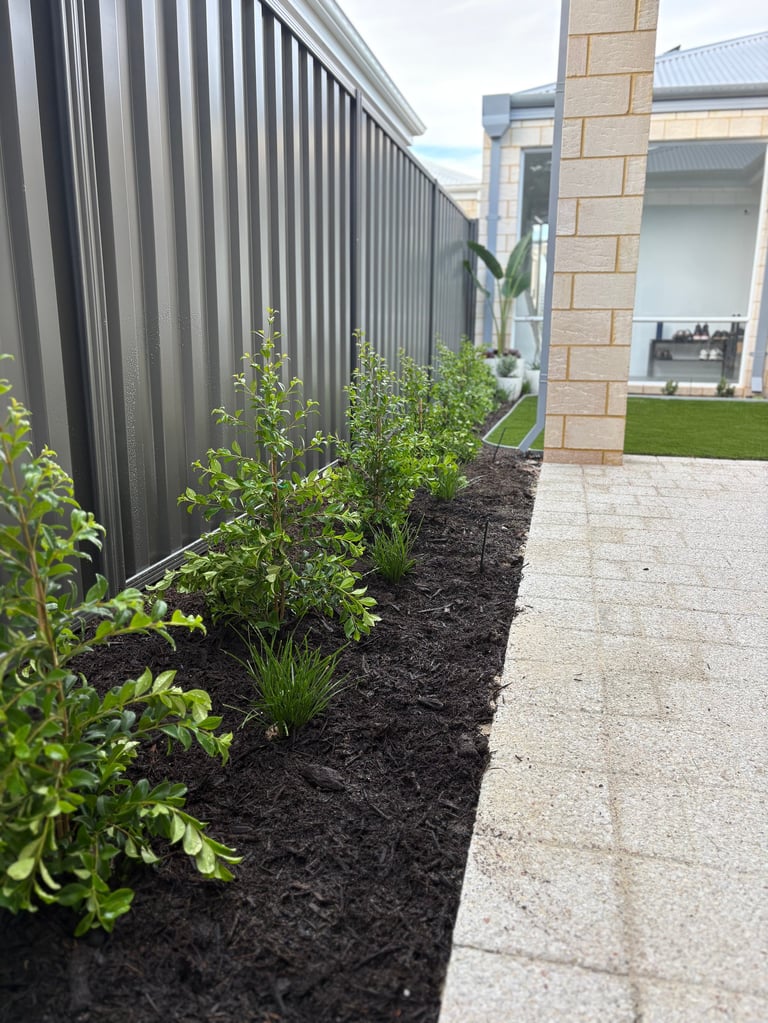 Modern outdoor pathway with corrugated metal fence, landscaped garden bed with dark mulch and green shrubs, and brick building exterior
