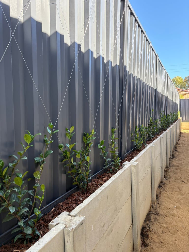 Modern corrugated metal fence with concrete base and young green plants along the bottom against clear blue sky