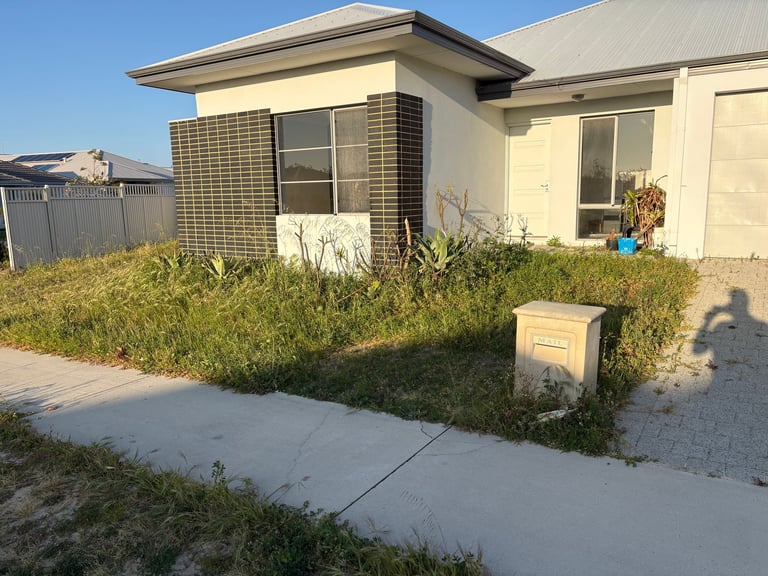 Modern single-story house with overgrown garden, concrete pathway, and metal mailbox under clear blue sky