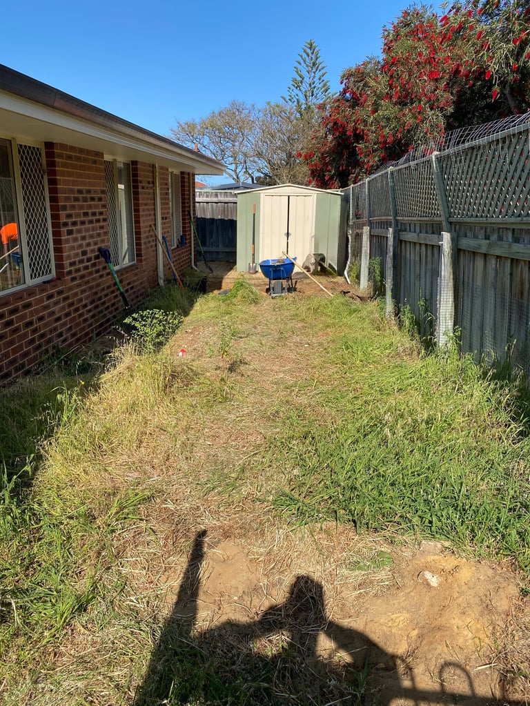 Residential backyard with patchy grass, brick house on left, metal storage shed, chain-link fence, and bare trees under clear blue sky
