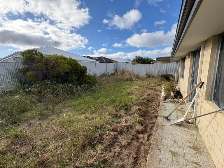 Overgrown backyard with patchy grass, metal fence, and white house with concrete patio under blue sky