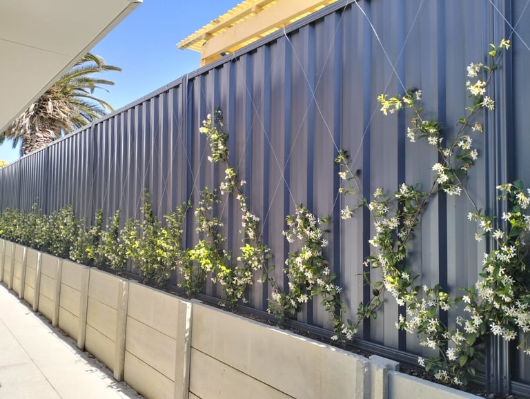 Modern corrugated metal fence with climbing ivy plants and white concrete base under clear blue sky
