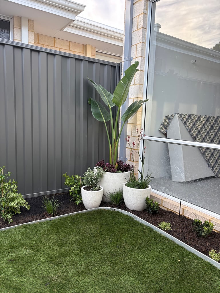 Modern backyard with artificial green lawn, potted plants including tall bird of paradise in white pots, and dark corrugated metal fence