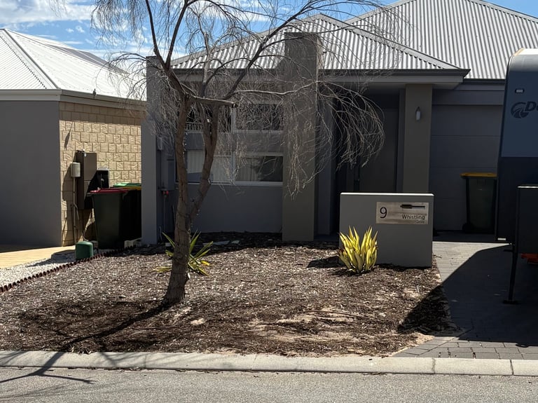 Modern black house with corrugated metal roof, bare weeping tree, yellow plant, and gravel front yard with mailbox