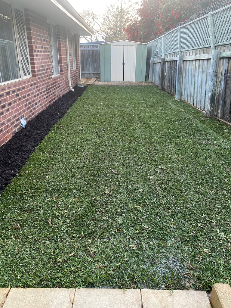 A neat backyard with fresh green lawn, brick house wall, metal storage shed, and white fence